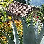 Farma Zertin Gravedona
