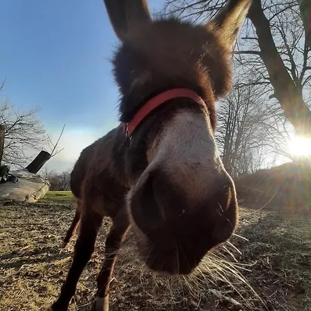 Zertin Farmház