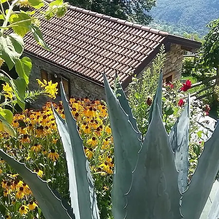 Farma Zertin Gravedona